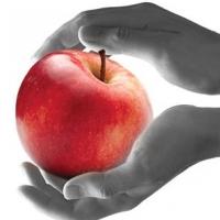 Oregon Children's Theatre Presents THE GIVER, Now thru 5/18