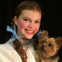 WIZARD OF OZ Opens Tonight at York Little Theatre