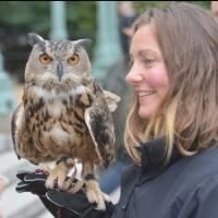 Photo Flash: The Urban Park Ranges' 16th Annual RAPTOR FEST in Prospect Park Set for 