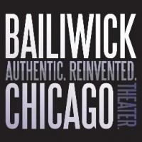 Bailiwick Chicago's PRINCESS MARY DEMANDS YOUR ATTENTION Begins 1/15 at Victory Garde Video