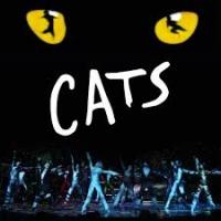 BWW Reviews: CATS, Bristol Hippodrome, October 16 2013 Video