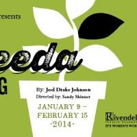 Rivendell Theatre Ensemble Presents World Premiere of Joel Drake Johnson's RASHEEDA SPEAKING, Now thru 2/15