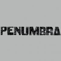 Penumbra Theatre Announces 2013-2014 Season Video
