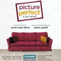 PICTURE PERFECT: The Beginning