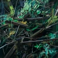WOODS, LOVELY, DARK, AND DEEP Opens at DC Moore Gallery Tomorrow Video
