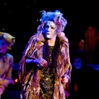 BWW Reviews: Theatre by the Sea Stages High-Energy, Highly-Entertaining CATS Video