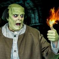 BWW Reviews: YOUNG FRANKENSTEIN Raises the Dead at PMT Video