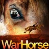 WAR HORSE & Broadway in Detroit to Host 'Heroes' Night,' 12/18 Video