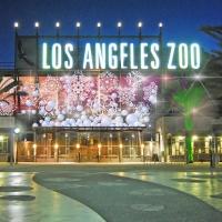 LA ZOO LIGHTS Electrifies with Animal Escapades In Lights, Lasers, Interactive Displa Video