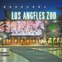 LA ZOO LIGHTS Electrifies with Animal Escapades In Lights, Lasers, Interactive…