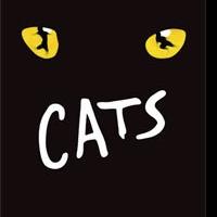 CATS Extends at Panasonic Theatre Through 9/1 Video
