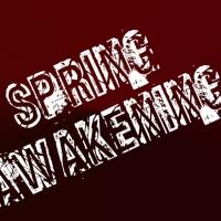 Red Branch Theatre Company's 2015 Season to Feature SPRING AWAKENING, DOGFIGHT & More Video