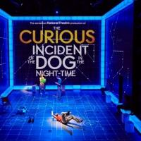 Performances Cancelled Through January 11 for THE CURIOUS INCIDENT OF THE DOG IN THE  Video