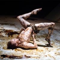 Joyce Theater Debuts Season with Royal Ballet's THE METAMORPHOSIS, Now thru 9/29 Video