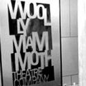  Woolly Mammoth Announces Andrew W. Mellon Foundation Playwright Residency Award for  Video