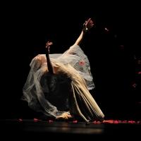 Shanghai Ballet Makes UK Debut with JANE EYRE, Now thru Aug 18 Video