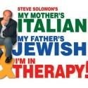 BWW Interviews: Steve Soloman Brings His Crazy Italian-Jewish Family HOME FOR THE HOL Video