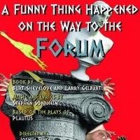 Joshua Finkel Directs 'FORUM' for Panic! Productions, Now thru 6/16 Video