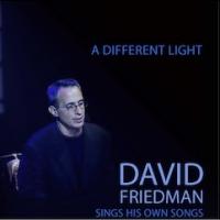 David Friedman Releases A DIFFERENT LIGHT & LET ME FLY Albums Video