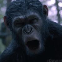 VIDEO: Watch First Official Clip from DAWN OF THE PLANET OF THE APES Video