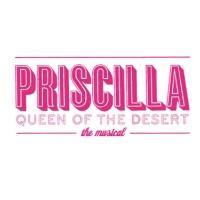 PRISCILLA QUEEN OF THE DESERT to Play Segerstrom Center, 10/22-27 Video