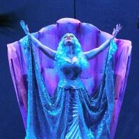 Photo Flash: First Look at Laurence Paxton, Kalia Medeiros & More in DHT's SPAMALOT