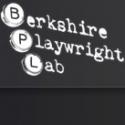 Ron Holgate and Roger Robinson Set for CEASEFIRE Reading at Berkshire Playwrights Lab Video