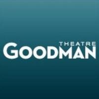 Rebecca Gilman's LUNA GALE to Begin Performances 1/18 at Goodman Theatre Video