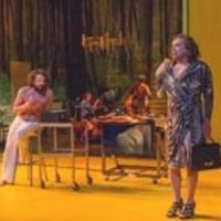BWW Reviews: IN A YEAR WITH 13 MOONS Puzzles Audience -- and Critic Video