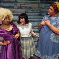 Photo Flash: First Look at Columbus Children's Theatre's HAIRSPRAY Video