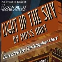 Richard Easton, Liz Larsen & More to Star in Peccadillo's LIGHT UP THE SKY Reading To Video