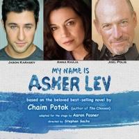 BWW Reviews: MY NAME IS ASHER LEV Examines the Struggle Between Artistic Vision and F Video