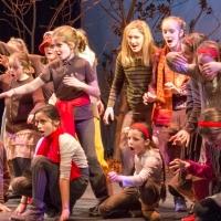THT Presents Young Performers in 3 FIDDLES AND MORE and LA VOLTA, Now thru 11/23