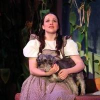 BWW Reviews: Journey Down the Yellow Brick Road to Gretna Theatre to See THE WIZARD OF OZ