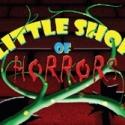 MTI Presents LITTLE SHOP OF HORRORS, Now thru 9/1