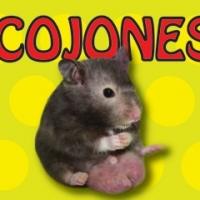 COJONES to Run Last Friday of Every Month at The PIT Beginning 1/31 Video