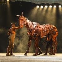 BWW Reviews: WAR HORSE is Spectacular