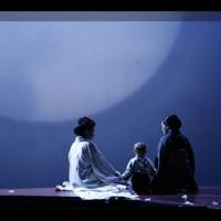Houston Grand Opera Launches New Season With MADAME BUTTERFLY, THE MAGIC FLUTE and 60 Video