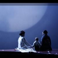 Houston Grand Opera Launches New Season With MADAME BUTTERFLY, THE MAGIC FLUTE and…