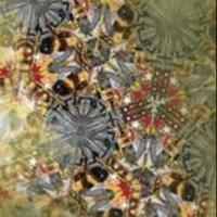 American Symphony Orchestra Presents FORGED FROM FIRE at Carnegie Hall Tonight