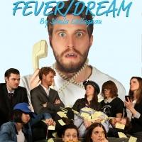 Seven Siblings Theatre Stages FEVER/DREAM in Toronto, Now thru 5/31 Video