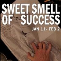 SWEET SMELL OF SUCCESS and ASSASSINS Set for Kokandy Productions' 2014 Season Video