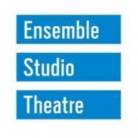 Ensemble Studio Theatre to Present Chiara Atik's FIVE TIMES IN ONE NIGHT Video