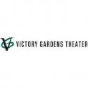 'Race and Representation in Chicago Theater' Conversations Begin at Victory Gardens T Video