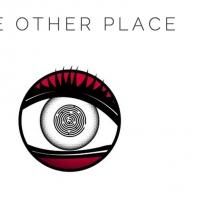 Virginia Stage Company Presents THE OTHER PLACE, Now thru 2/8