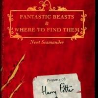 Warner Bros. Expands Partnership with J.K. Rowling; 'Fantastic Beasts and Where to Fi Video