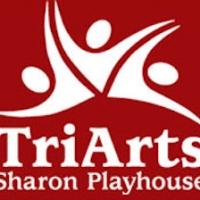 NINE WIVES Runs Now thru 7/27 at TriArts Sharon Playhouse Video