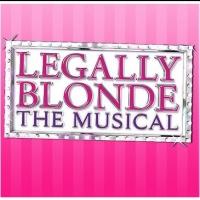 LEGALLY BLONDE: THE MUSICAL Kicks Off Stage Door Inc's Season in New Home, Now thru 6 Video