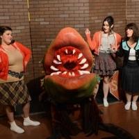 Sewickley AreaTheatre Presents LITTLE SHOP OF HORRORS