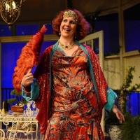 Photo Flash: First Look at 2nd Story Theatre's HAY FEVER Starring Joanne Fayan, John  Video